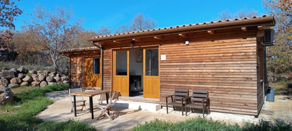 Blick auf das Wohnzimmer